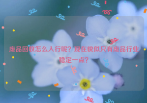 廢品回收怎么入行呢？現(xiàn)在貌似只有廢品行業(yè)穩(wěn)定一點？