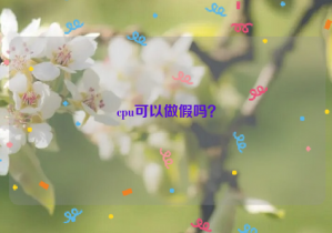cpu可以做假嗎？