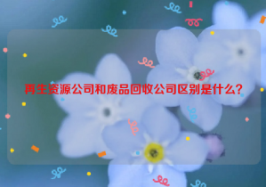 再生資源公司和廢品回收公司區(qū)別是什么？