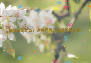 硅晶圓是什么？這種產(chǎn)品的投資前景如何？