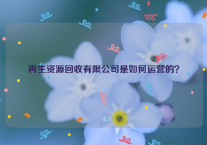 再生資源回收有限公司是如何運營的？