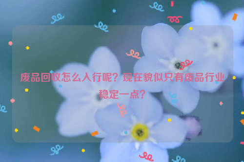 廢品回收怎么入行呢？現(xiàn)在貌似只有廢品行業(yè)穩(wěn)定一點？