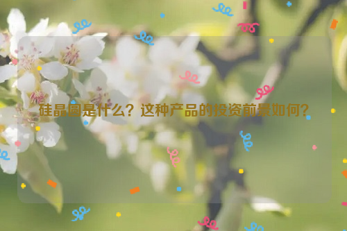 硅晶圓是什么？這種產(chǎn)品的投資前景如何？