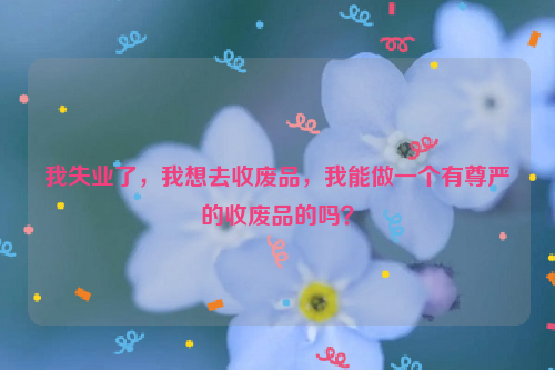 我失業(yè)了，我想去收廢品，我能做一個有尊嚴的收廢品的嗎？