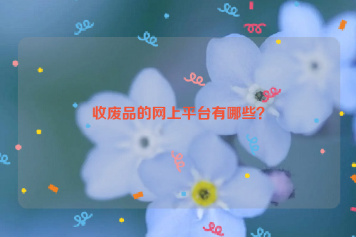 收廢品的網(wǎng)上平臺(tái)有哪些？
