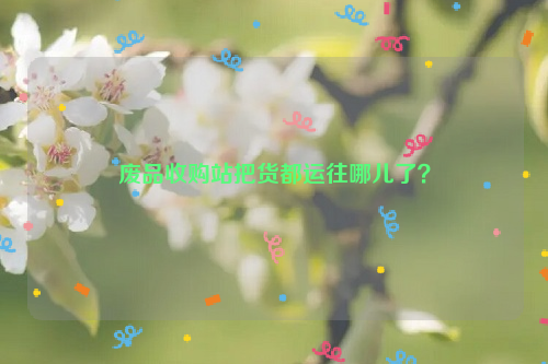 廢品收購站把貨都運往哪兒了？