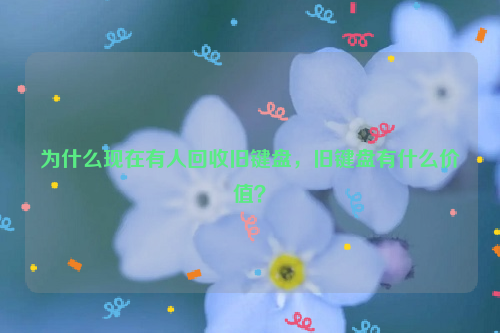 為什么現在有人回收舊鍵盤，舊鍵盤有什么價值？