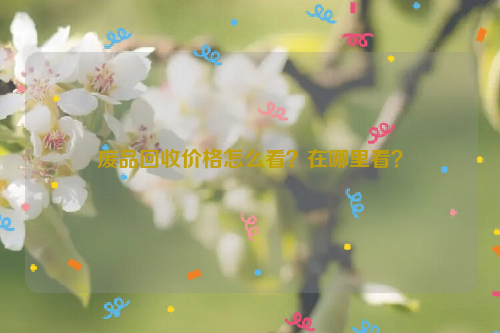 廢品回收價(jià)格怎么看？在哪里看？