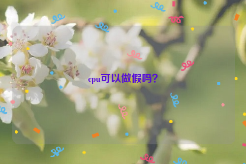 cpu可以做假嗎？